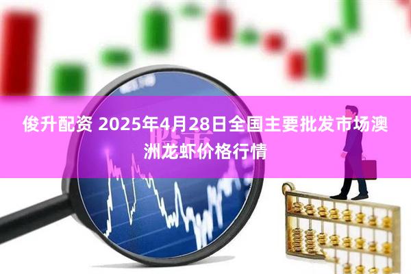 俊升配资 2025年4月28日全国主要批发市场澳洲龙虾价格行情