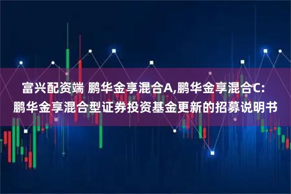富兴配资端 鹏华金享混合A,鹏华金享混合C: 鹏华金享混合型证券投资基金更新的招募说明书