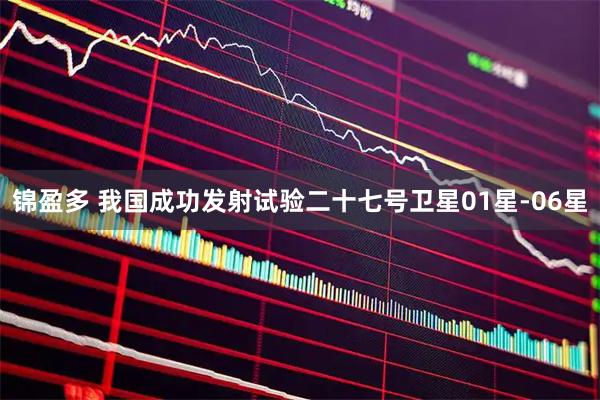 锦盈多 我国成功发射试验二十七号卫星01星-06星